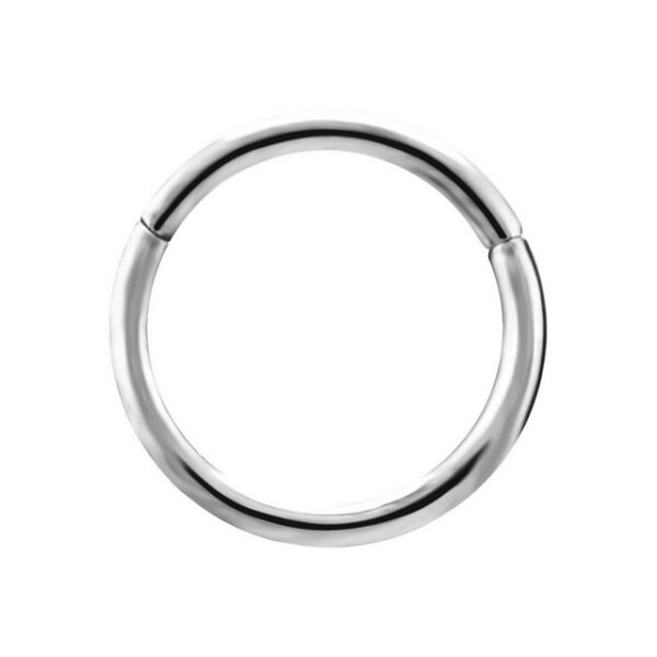 Karisma Nasenpiercing Edelstahl 316L Hinged Segmentring Charnier/Conch Clicker Ring Piercing Ohrring Stärke 1,2mm - 8mm Durchmesser, Silber