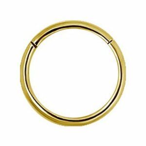 Karisma Nasenpiercing Edelstahl 316L Hinged Segmentring Charnier/Conch Clicker Ring Piercing Ohrring Stärke 1,2mm Farbwahl - 1,2x10mm, Gold