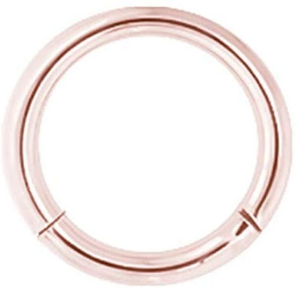 Karisma Nasenpiercing Rosegold Titan G23 Hinged Segmentring Charnier/Septum Clicker Helix Ring Piercing Ohrring - 1,2x7mm