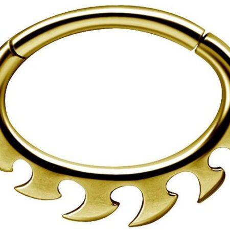 Karisma Piercing-Set Karisma Edelstahl 316L Hinged Septum/Daith Clicker Ring Ohrring Nase 1,2x8mm BSDX04 - Gold