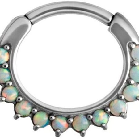 Karisma Piercing-Set Karisma Edelstahl 316L Septum Clicker Opal Segment Ring Nasenring Nasenpiercing - 1,2x8mm JSROPC-13L - Weiss Opal