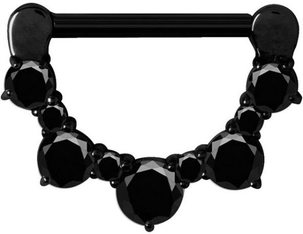 Karisma Piercing-Set Karisma Edelstahl Brust Schwarzes Piercing Clicker Ring Zirkonia 1,6x12mm - Zirkonia schwarz