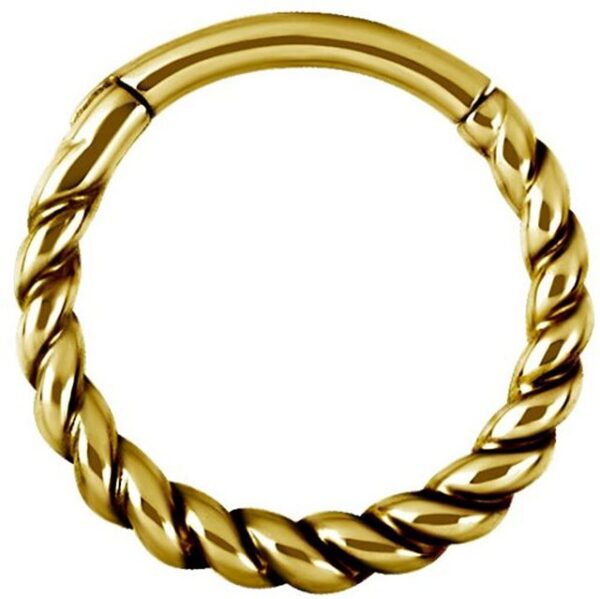 Karisma Piercing-Set Karisma Edelstahl Hinged Scharnier Segment Ring Twisted Rope Ohrring Nase 1,2x8mm - Gold