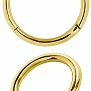 Karisma Piercing-Set Karisma Gold 18 Karat Edelstahl Hinged Scharnier Segment Ring Ohrring Nase 1,2mm - 9mm