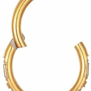 Karisma Piercing-Set Karisma Titan G23 Hinged Segmentring Charnier/Conch Septum Clicker Ring Piercing Ohrring Zirkonia Edged Kristallrand Stärke 1,2 - Gold/ 1,2x8mm