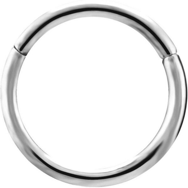 Karisma Piercing-Set Karisma Titan G23 Hinged Segmentring Charnier/Septum Clicker Helix Ring Piercing Ohrring - 1,0x7mm Silber