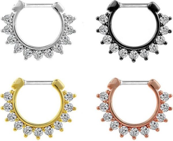 Karisma Piercing-Set Karisma Titan G23 Septum Clicker Segment Ring Nasenring Nasenpiercing Zirkonia- 1,2x8mm tsc-h009 - Gold