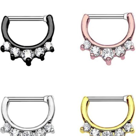 Karisma Piercing-Set Karisma Titan G23 Septum Clicker Segment Ring Nasenring Nasenpiercing Zirkonia- 1,2x8mm tsc-h10 - Gold