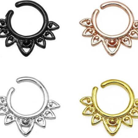 Karisma Piercing-Set Karisma Titan G23 Septum Ring Nasenring Nasenpiercing- 1,2x8mm hfs-75 - Gold