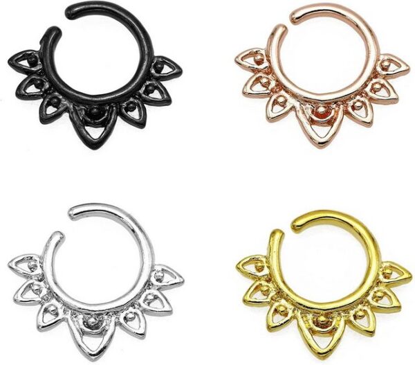 Karisma Piercing-Set Karisma Titan G23 Septum Ring Nasenring Nasenpiercing- 1,2x8mm hfs-75 - Gold