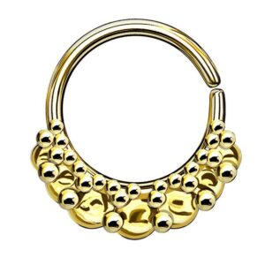 Taffstyle Nasenpiercing Piercing Continuous Tribal Ring Trauben Septum, Ring Ohr Nase Lippe Brust Intim Septum Tragus Helix Hufeisen Horseshoe