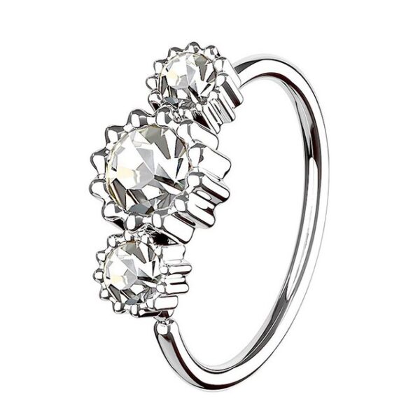 Taffstyle Nasenpiercing Piercing Ring Continuous mit 3 Strass Kristallen, Universal Ohr Lippe Brust Intim Septum Tragus Helix Hufeisen Horseshoe