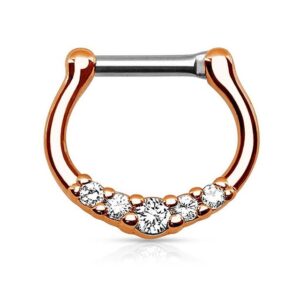 Taffstyle Nasenpiercing Piercing Ring Schild Clicker mit Strass Stein, Septum Ohr Nase Lippe Brust Intim Nasenpiercing Nasenring Ohrpiercing