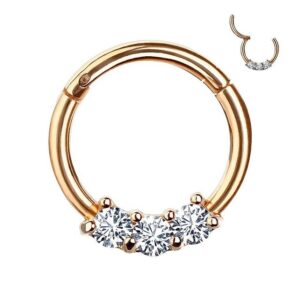 Taffstyle Nasenpiercing Piercing Segmentring Scharnier Clicker Kristall, Segmentring Clicker Scharnier Piercing Ring Septum Helix Ohr Nase Lippe Nasenring Nasenpiercing Ohrpiercing Dünn Glitzer Kristall