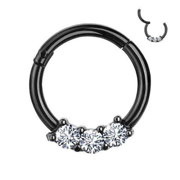 Taffstyle Nasenpiercing Piercing Segmentring Scharnier Clicker Kristall, Segmentring Clicker Scharnier Piercing Ring Septum Helix Ohr Nase Lippe Nasenring Nasenpiercing Ohrpiercing Dünn Glitzer Kristall