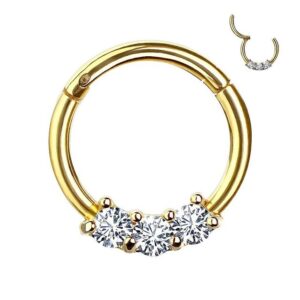 Taffstyle Nasenpiercing Piercing Segmentring Scharnier Clicker Kristall, Segmentring Clicker Scharnier Piercing Ring Septum Helix Ohr Nase Lippe Nasenring Nasenpiercing Ohrpiercing Dünn Glitzer Kristall