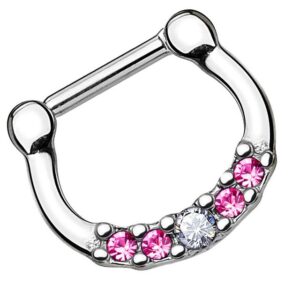 Taffstyle Nasenpiercing Piercing Septum Clicker Scharnier mit 5 Kristallen, Ring Lippenpiercing Nasenpiercing Ohrpiercing Intimpiercing Horsesho