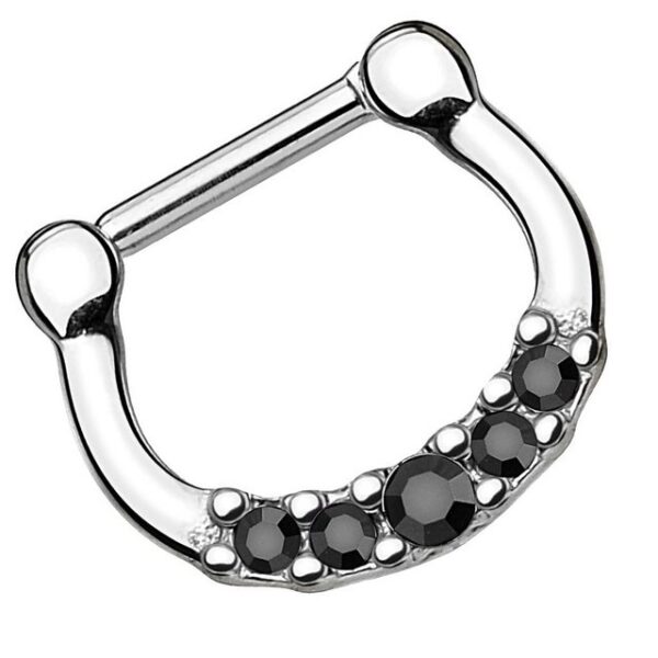 Taffstyle Nasenpiercing Piercing Septum Clicker Scharnier mit 5 Kristallen, Ring Lippenpiercing Nasenpiercing Ohrpiercing Intimpiercing Horsesho