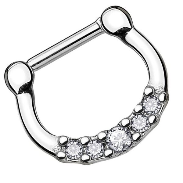 Taffstyle Nasenpiercing Piercing Septum Clicker Scharnier mit 5 Kristallen, Ring Lippenpiercing Nasenpiercing Ohrpiercing Intimpiercing Horsesho