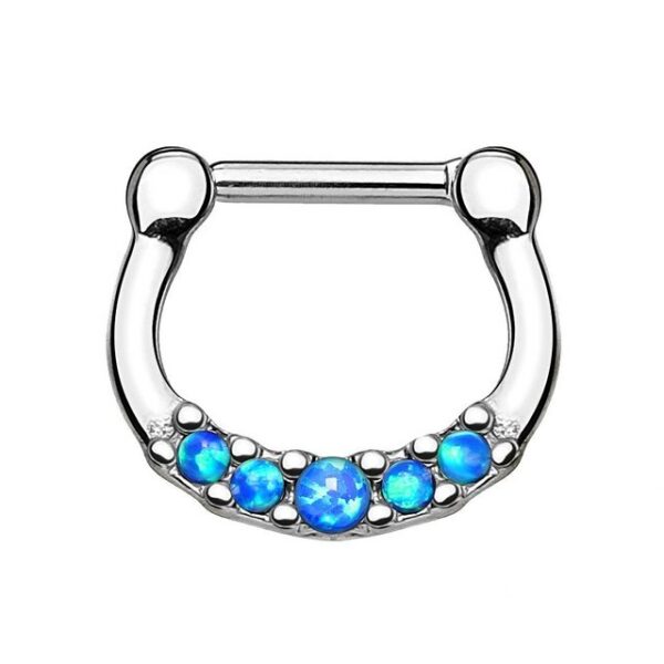 Taffstyle Nasenpiercing Piercing Septum Nase Lippe Ohr Helix Tragus, Universal Septum Nase Schild Clicker Ring Chirurgenstahl Schild Opale