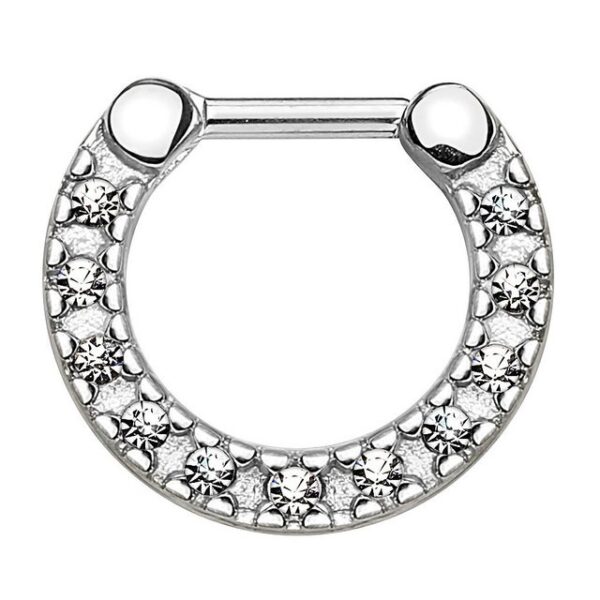 Taffstyle Nasenpiercing Piercing Septum Ring Chirurgenstahl mit Kristallen, Ring Clicker Lippenpiercing Nasenpiercing Ohrpiercing Intimpiercing