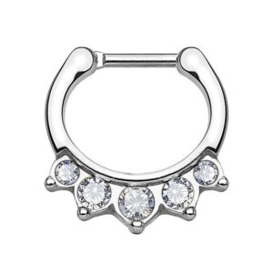 Taffstyle Nasenpiercing Piercing Septum Ring Clicker Scharnier 5 Kristall, Universal Ring Spitzen Lippen Nasen Ohr Tragus Helix Intim Augenbraue