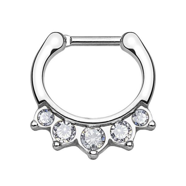 Taffstyle Nasenpiercing Piercing Septum Ring Clicker Scharnier 5 Kristall, Universal Ring Spitzen Lippen Nasen Ohr Tragus Helix Intim Augenbraue