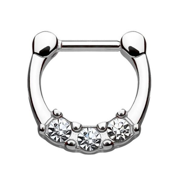 Taffstyle Nasenpiercing Piercing Septum Ring eingefasste Kristalle, Ring Lippenpiercing Nasenpiercing Ohrpiercing Intimpiercing Horseshoe