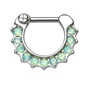 Taffstyle Nasenpiercing Piercing Septum Schild Clicker Ring Opal Steine, Universal Tragus Helix Ohr Nase Lippe Brust Schild Clicker Ring Opal