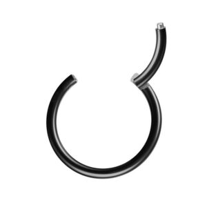 Taffstyle Nasenpiercing Segmentring Piercing Titan G23 oder Chirurgenstahl, Scharnier Klicker Septum Ohr Nase Lippe Brust Augenbrauen Segment Ring