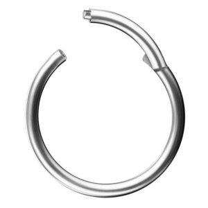 Taffstyle Nasenpiercing Segmentring Piercing Titan G23 oder Chirurgenstahl, Scharnier Klicker Septum Ohr Nase Lippe Brust Augenbrauen Segment Ring