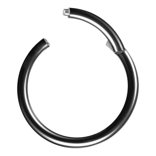 Taffstyle Nasenpiercing Segmentring Piercing Titan G23 oder Chirurgenstahl, Scharnier Klicker Septum Ohr Nase Lippe Brust Augenbrauen Segment Ring