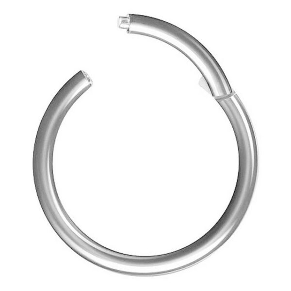 Taffstyle Nasenpiercing Segmentring Piercing Titan G23 oder Chirurgenstahl, Scharnier Klicker Septum Ohr Nase Lippe Brust Augenbrauen Segment Ring