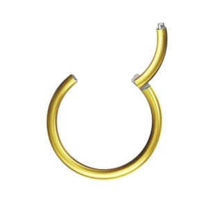 Taffstyle Nasenpiercing Segmentring Piercing Titan G23 oder Chirurgenstahl, Scharnier Klicker Septum Ohr Nase Lippe Brust Augenbrauen Segment Ring