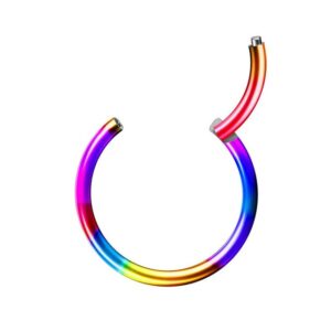 Taffstyle Nasenpiercing Segmentring Piercing Titan G23 oder Chirurgenstahl, Scharnier Klicker Septum Ohr Nase Lippe Brust Augenbrauen Segment Ring