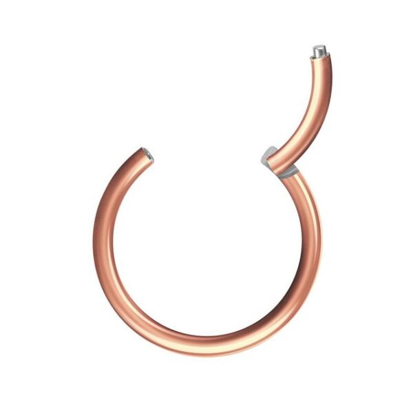 Taffstyle Nasenpiercing Segmentring Piercing Titan G23 oder Chirurgenstahl, Scharnier Klicker Septum Ohr Nase Lippe Brust Augenbrauen Segment Ring