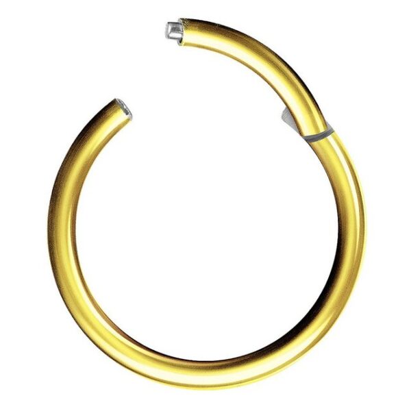 Taffstyle Nasenpiercing Segmentring Piercing Titan G23 oder Chirurgenstahl, Scharnier Klicker Septum Ohr Nase Lippe Brust Augenbrauen Segment Ring