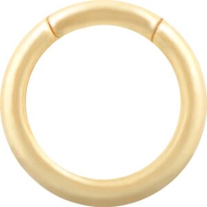 Segmentring Clicker mit Klickverschluss 18karat Gelbgold 1.2mm x 6mm