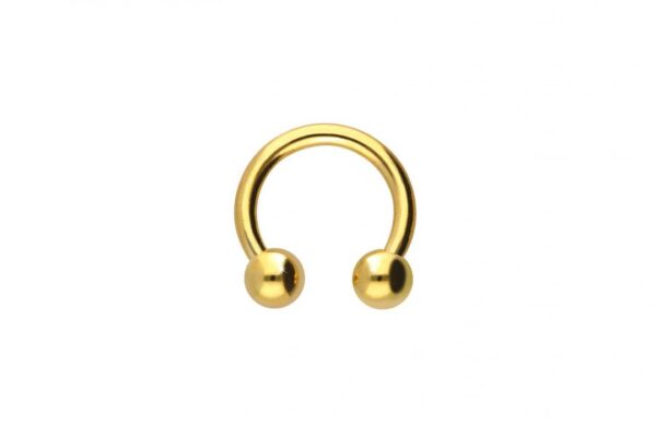 Hufeisen Circular 18karat Gold  Gelbgold 1.2mm x 6mm