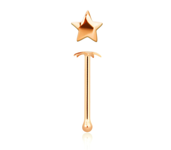 14karat Gold Roségold Nasenstecker Pin Stern mit Geschenkbox