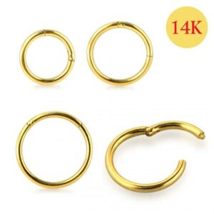 Segmentring Clicker 14karat Gold Gelbgold Weissgold Roségold 1.0mm mit Geschenkbox