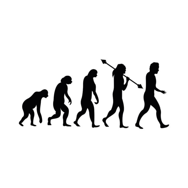 Human Evolution