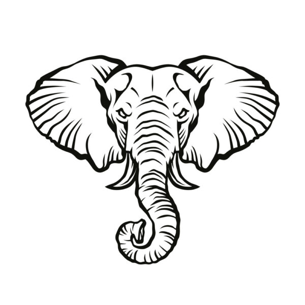 Loxodonta