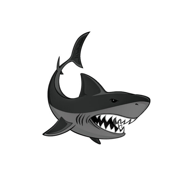 Megalodon