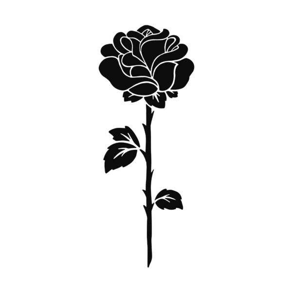 Black-Rose